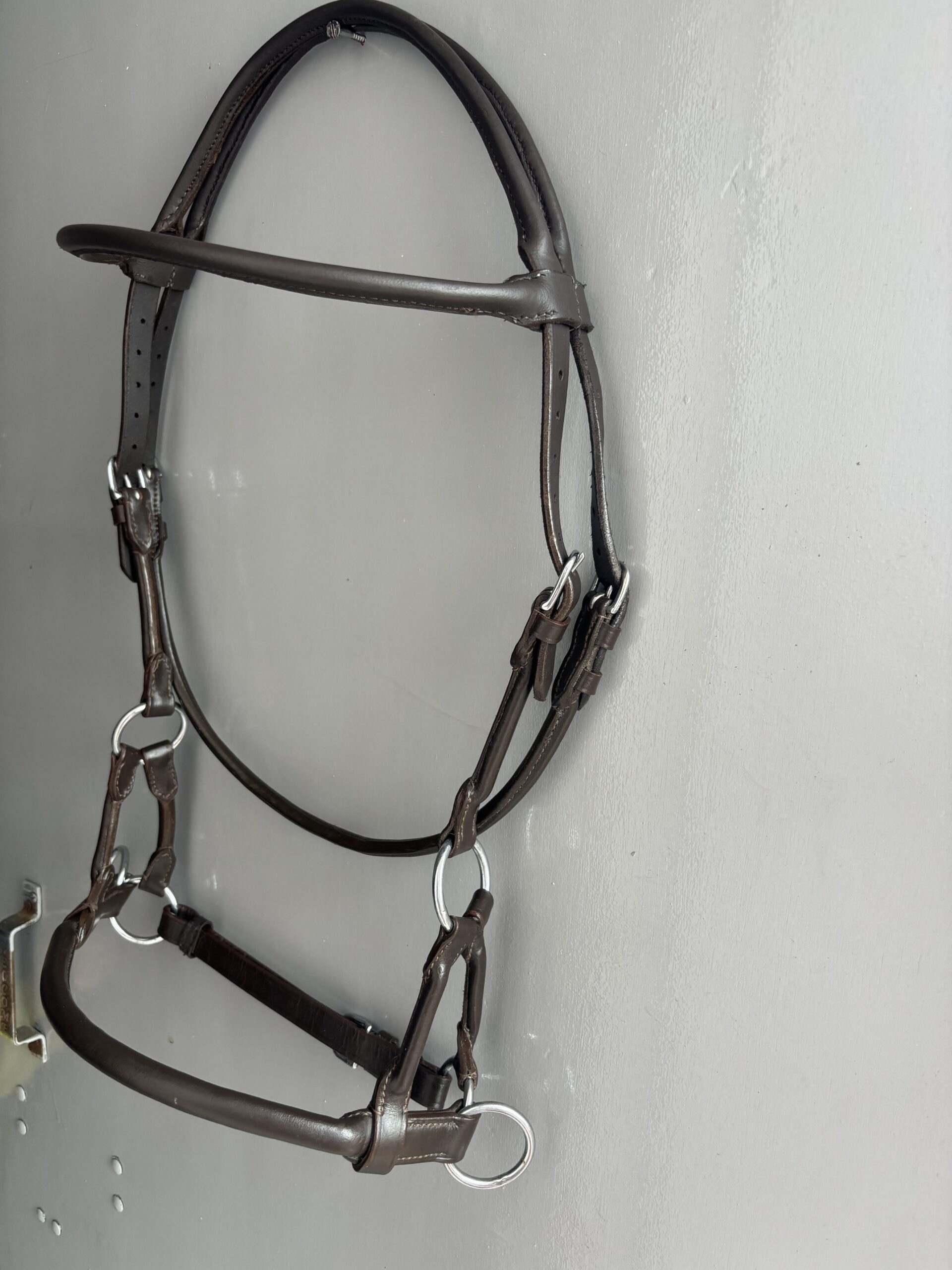 IMG_0288 sidepull bridle